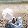 COTTON CRAFT Oversized Extra Wide XL Beach Blanket Towel for Two – 58×68-100% Cotton Velour – Big & Huge – Pool Picnic Bath Jacquard Thick Plush Super Soft Luxury – 450 GSM – Summer Trellis Pool Blue(Surf Blue)