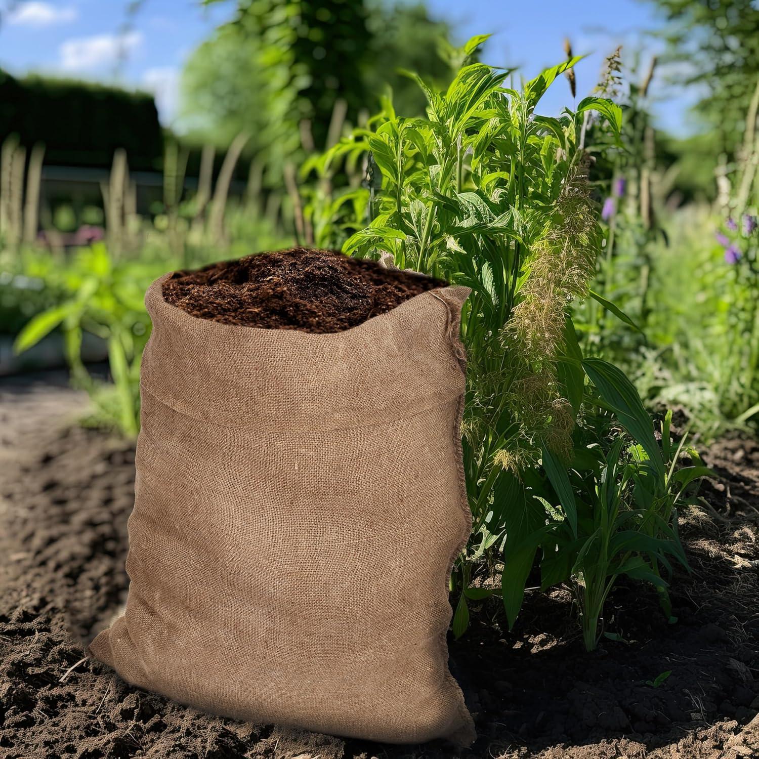 imageCOTTON CRAFT Potato Sack Race Bags Jute Burlap Sacks for Kids and Adults Playground Fitness Outdoor Fun Games Birthday Picnic Easter Jumping Bag Garden Toys Storage Santa Sacks 24x3910 Pack 24x39