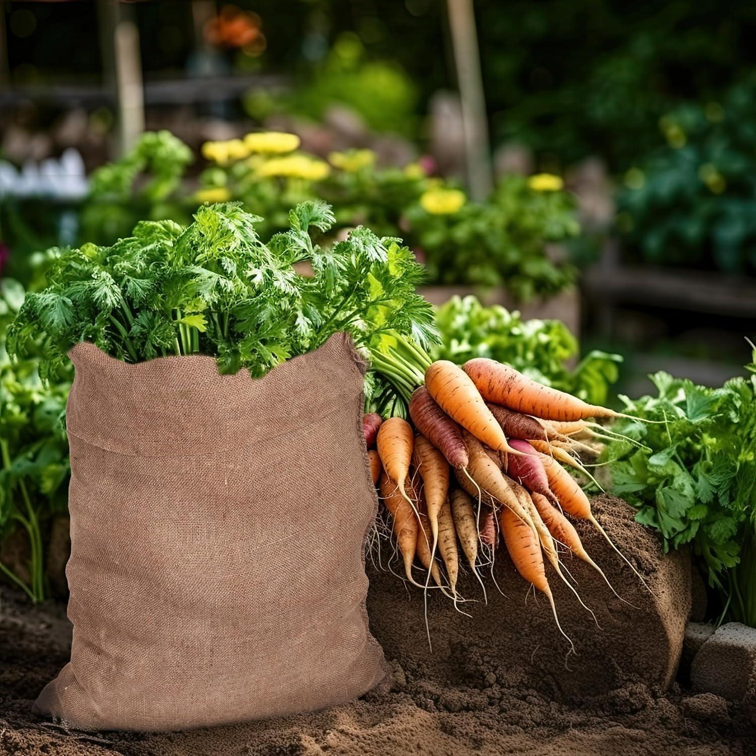 imageCOTTON CRAFT Potato Sack Race Bags Jute Burlap Sacks for Kids and Adults Playground Fitness Outdoor Fun Games Birthday Picnic Easter Jumping Bag Garden Toys Storage Santa Sacks 24x394 Pack 24x39