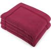 COTTON CRAFT Bath Mats – 2 Pack 100% Cotton 21×30 Inches – Ultra Absorbent – Plush 900 GSM – Banded Border Luxury Towel Rug – Step Out Tub Shower Floor Mat -Not a Bathroom Rug – White(Burgundy)